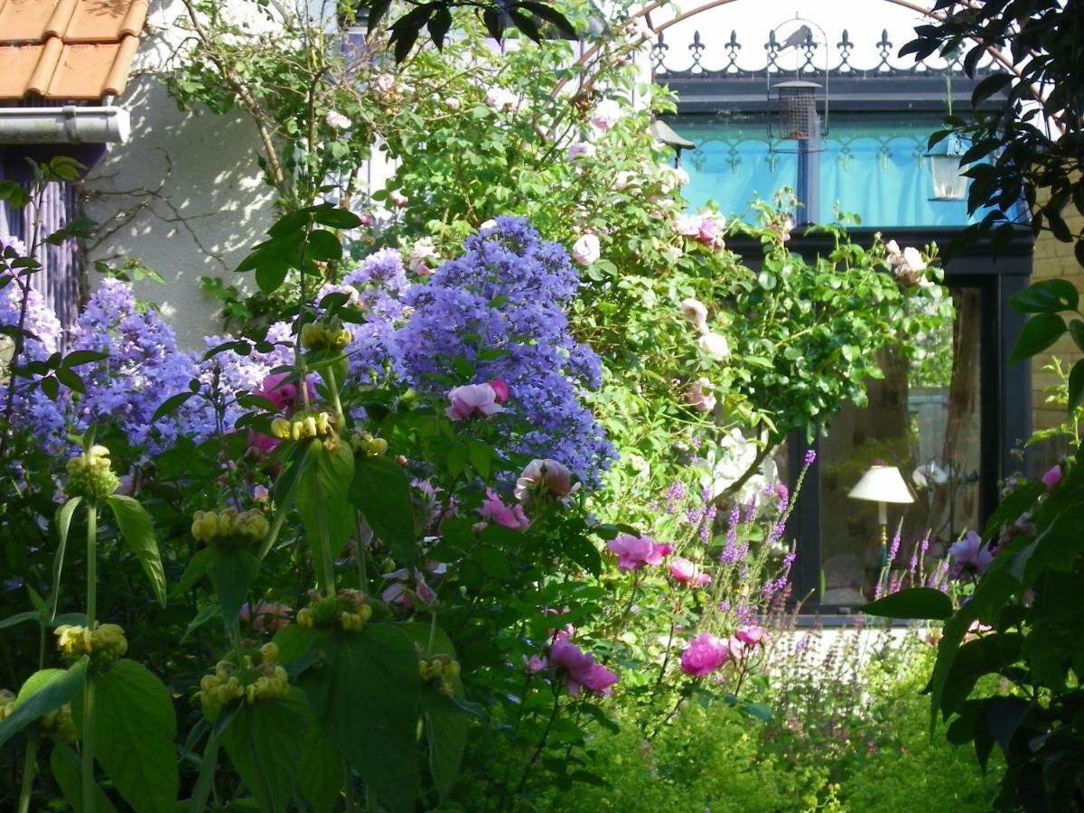 Bed and Breakfast La Colline Des Roses Conchil-le-Temple Exterior foto